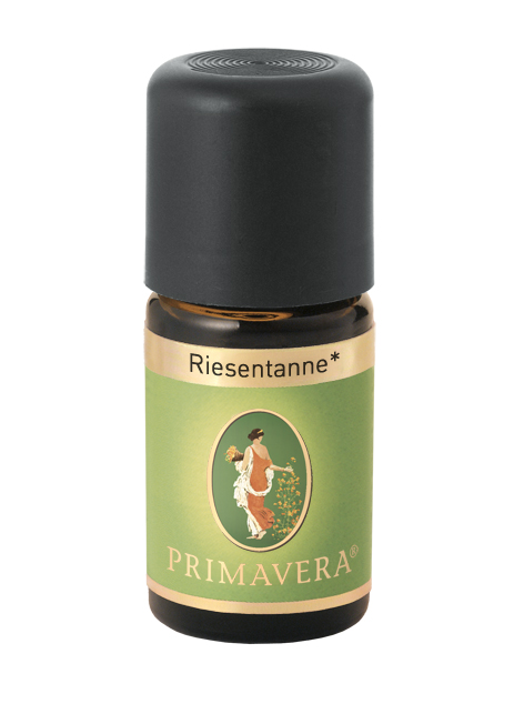 Riesentanne bio