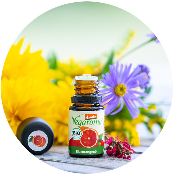 BlutorangeGPixEZBlvcD4l